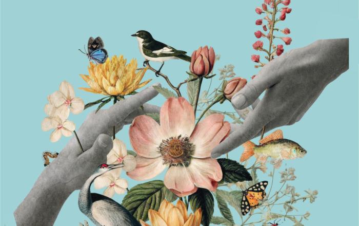 PACE CON LA NATURA: ISTITUZIONI A CONFRONTO